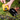 **Pre-Order** Power Tool Adapter