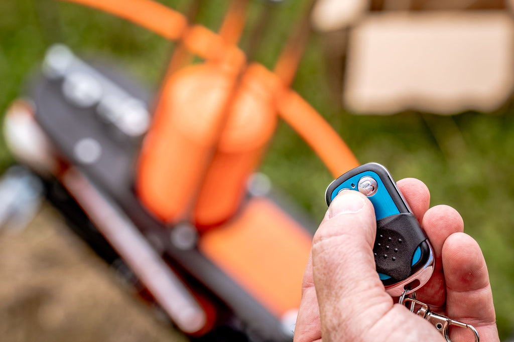 Single Wireless Remotes