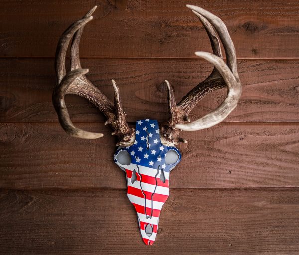 America Buck Antler Mount