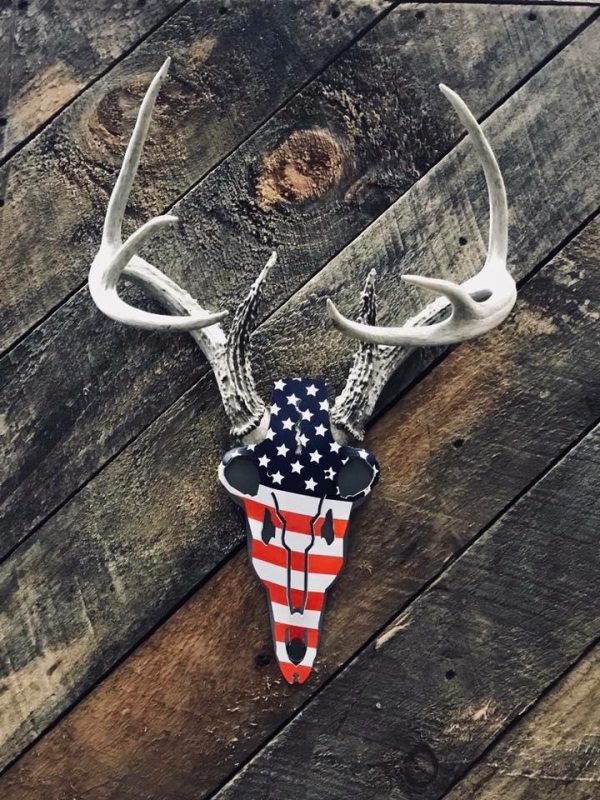 America Buck Antler Mount