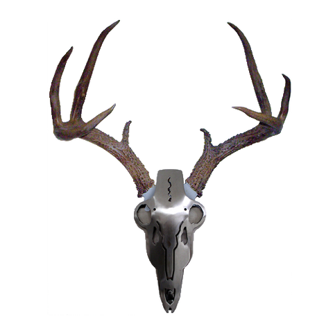 free whitetail deer antler art
